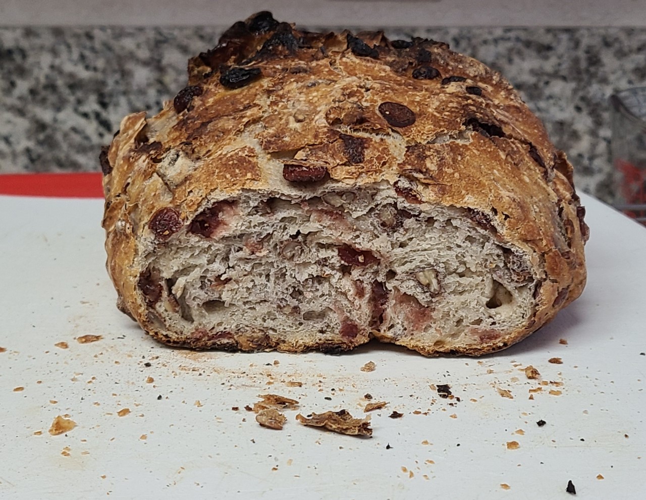 Cranberry Bread Loaf Cut